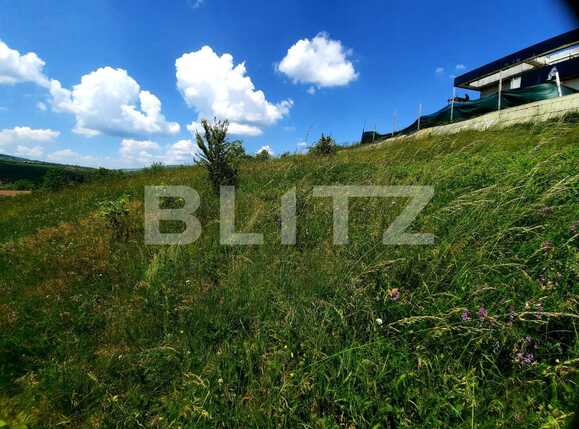 Teren de vânzare Iris - 67170TV | BLITZ Cluj-Napoca | Poza7
