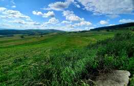 Teren extravilan 5800 mp, in zona strazii Lombului