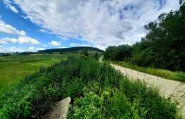 Teren extravilan 5800 mp, in zona strazii Lombului