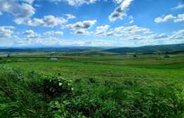 Teren extravilan 5800 mp, in zona strazii Lombului