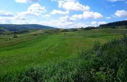 Teren extravilan 5800 mp, in zona strazii Lombului