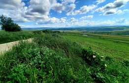 Teren extravilan 5800 mp, in zona strazii Lombului