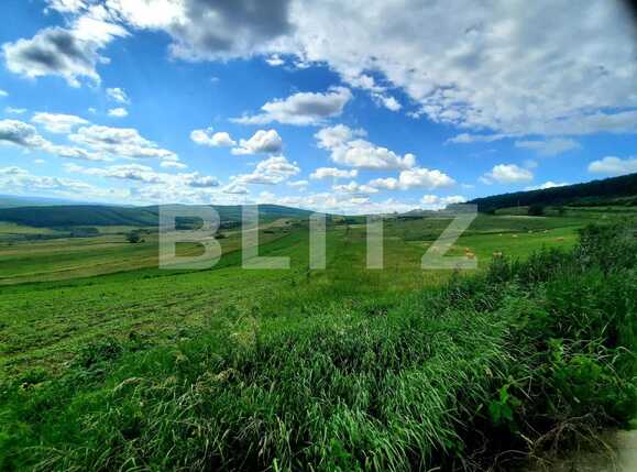 Teren de vânzare Exterior Nord - 67171TV | BLITZ Cluj-Napoca | Poza2