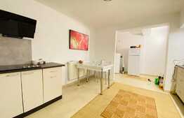 Casa, 240 mp utili, curte 180 mp, zona Piata 14 Iulie