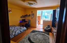 Apartament cu o camera, semidecomandat, 32 mp, zona Expo Transilvania