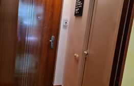 Apartament cu o camera, semidecomandat, 32 mp, zona Expo Transilvania