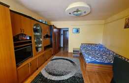 Apartament cu o camera, semidecomandat, 32 mp, zona Expo Transilvania