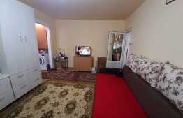 Apartament 2 camere,  mobilat si utilat, zona Noua 