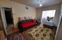 Apartament 2 camere,  mobilat si utilat, zona Noua 