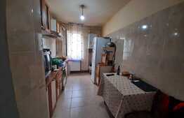 Apartament 2 camere,  mobilat si utilat, zona Noua 