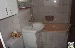 Inchiriere apartament 2 camere semidecomandat, zona Albac