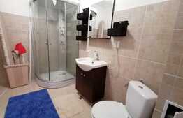 Scadere de pret, Apartament cu 2 camere, 48 mp., etaj intermediar, balcon