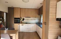 De vanzare casa cocheta, pe un singur nivel, la cheie, teren 1500 mp, Gheorghieni!