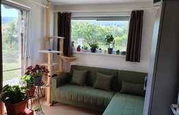 De vanzare casa cocheta, pe un singur nivel, la cheie, teren 1500 mp, Gheorghieni!