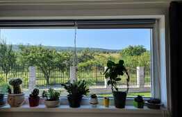 De vanzare casa cocheta, pe un singur nivel, la cheie, teren 1500 mp, Gheorghieni!