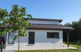 De vanzare casa cocheta, pe un singur nivel, la cheie, teren 1500 mp, Gheorghieni!