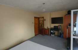 Apartament 2 camere, decomandat, 52 mp, beci 16mp, zona Gheorghe Doja