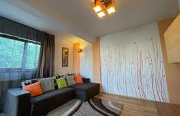 Apartament de 2 camere, decomandat, modern, 55mp, ac, zona Iulius Mall