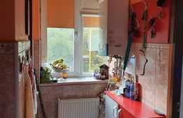 Garsoniera de 24 mp, zona Noua, loc de parcare