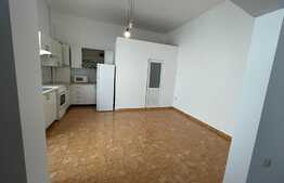 Casa individuala cu doua apartamente, 204,5 mp construiti, Gruia