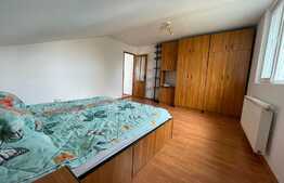 Casa individuala cu doua apartamente, 204,5 mp construiti, Gruia