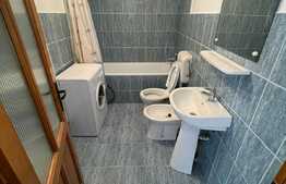 Casa individuala cu doua apartamente, 204,5 mp construiti, Gruia