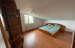 Casa individuala cu doua apartamente, 204,5 mp construiti, Gruia