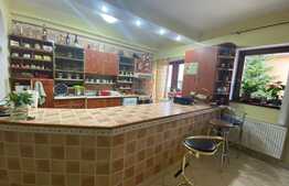 Casa deosebita in Centrul Istoric, 300 mp utili, Priveliste Superba