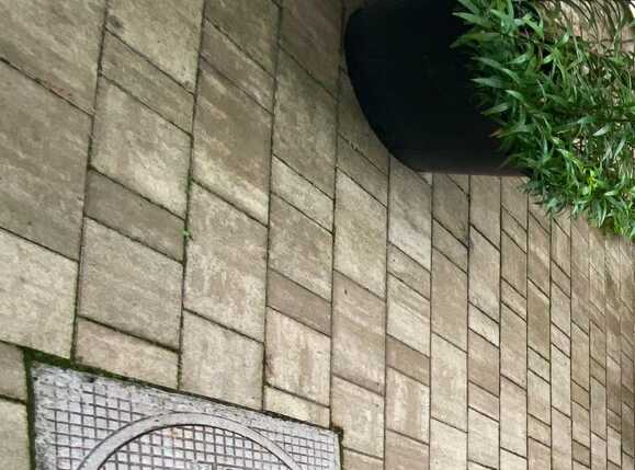 Casa de vânzare 8 camere Centrul Istoric - 67307CV | BLITZ Brașov | Poza16