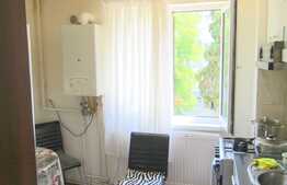 Apartament 2 camere, 56 mp, finisaje moderne, zona Diana-Gheorgheni!