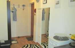 Apartament 2 camere, 56 mp, finisaje moderne, zona Diana-Gheorgheni!