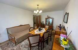 Apartament 2 camere decomandate, 2 balcoane, 50 mp, zona Dunarii