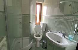 Casa cu potential turistic, 380 mp, FUNDATA