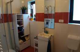 Casa spatioasa, 150 mp, curte si terasa, garaj, prima inchiriere, Florilor!