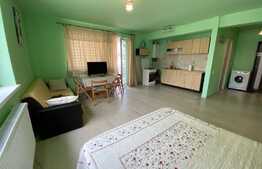 Apartament 1 camera, 40 mp, zona Vivo! 