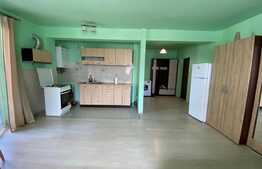 Apartament 1 camera, 40 mp, zona Vivo! 