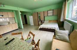 Apartament 1 camera, 40 mp, zona Vivo! 