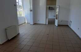 Spatiu comercial de vanzare 168 mp, zona PORII