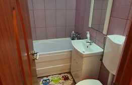 Apartament cu 2 camere in Gheorgheni, zona Brancusi