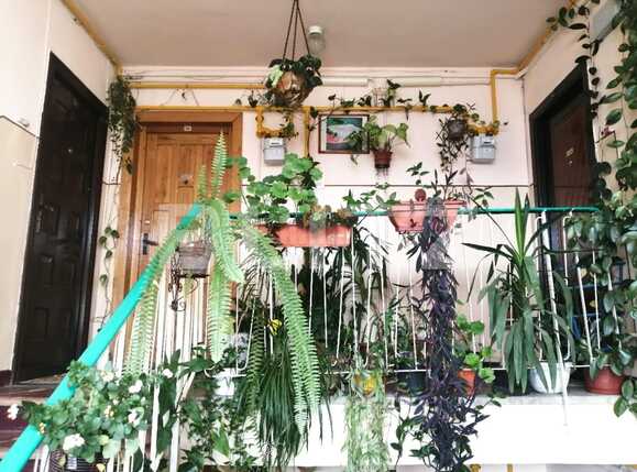 Apartament de vânzare 3 camere Manastur - 67405AV | BLITZ Cluj-Napoca | Poza6