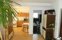 1 camera, 33 mp, imobil nou, zona Muzeul Apei