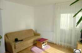 1 camera, 33 mp, imobil nou, zona Muzeul Apei