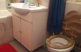 Garsoniera de vanzare, 32 mp utili, Manastur