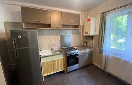 Apartament de 1 camere, 45 mp, proaspat renovat, Sala Sporturilor