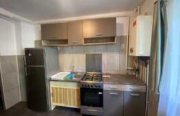 Apartament de 1 camere, 45 mp, proaspat renovat, Sala Sporturilor