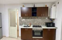 Apartament 2 camere open space, curte privata, parcare, 31 mp, Marasti