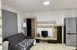 Apartament 2 camere open space, curte privata, parcare, 31 mp, Marasti