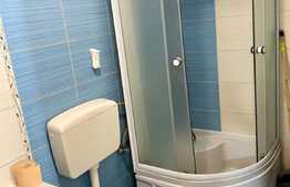 Apartament 2 camere open space, curte privata, parcare, 31 mp, Marasti