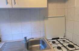 Apartament de 1 cameră, în zona Piata Flora