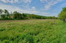 Teren 13000 mp cu casa individuala 80 mp, intrare in Dej